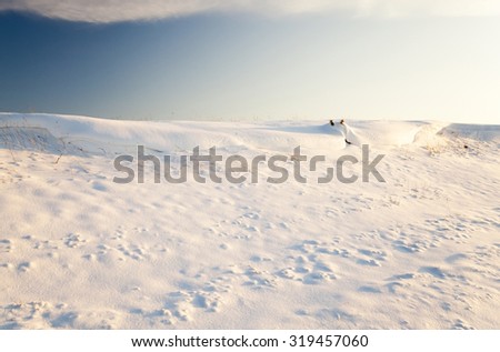  an agricultural field in a winter season. the field is covered with snow after snowfall