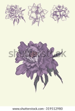 Illustration with violet peony Royalty-Free Stock Photo #319512980
