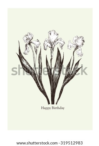Happy B-Day card with irises Royalty-Free Stock Photo #319512983