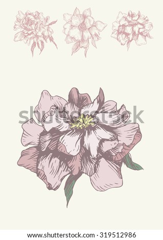 Illustration with pink peony Royalty-Free Stock Photo #319512986