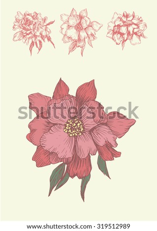 Illustration with red peony Royalty-Free Stock Photo #319512989