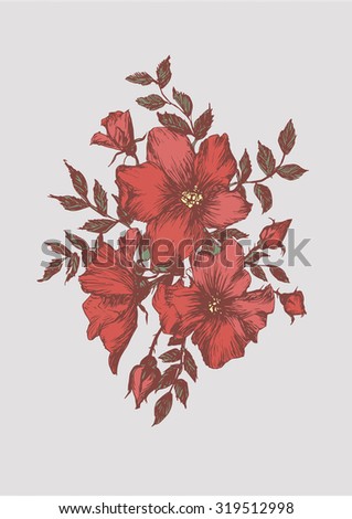 Illustration with wild red rose Royalty-Free Stock Photo #319512998