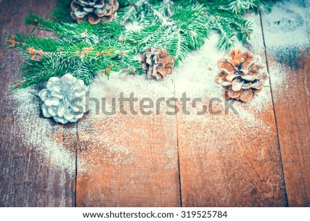 pine cones in the snow . branch spruce and cones . unusual silver shot. winter Arrangements