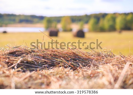 Field with hay bales. Royalty-Free Stock Photo #319578386