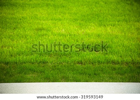 Green grass on the lawn. Selective focus. Shallow depth of field. Toned.