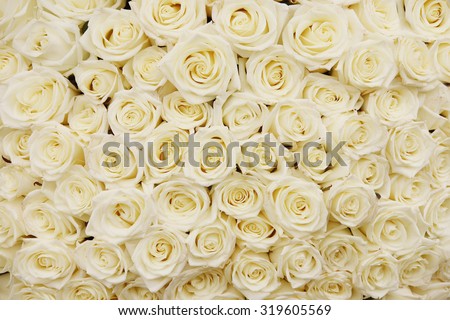 isolated close-up of a huge bouquet of white roses