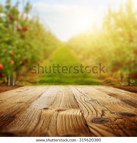 table space and apple garden of trees and fruits  Royalty-Free Stock Photo #319620380