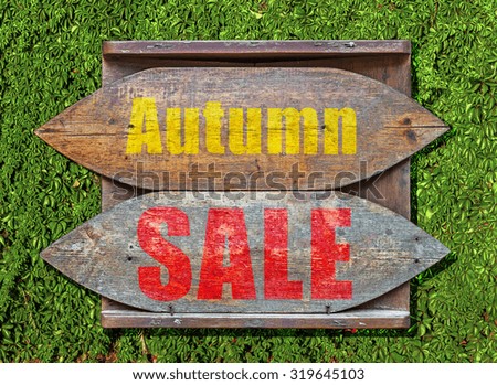 Autumn SALE Wooden old sign hanged on green ivy creeper background