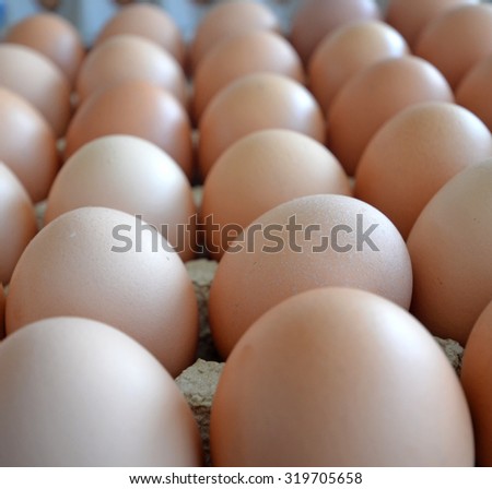 picture of eggs in a market ready fo sale