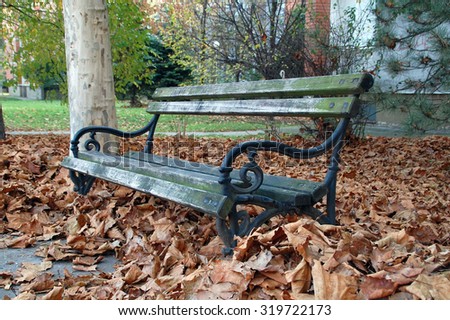 Wooden bench covered with autumn fallen leaves.                                  