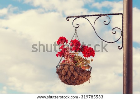 red geranium in basket hanging on street pole