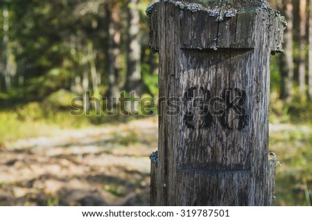 Sign in the forest