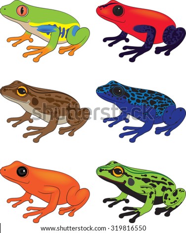 Frog-Clip-art-Vector-Illustration