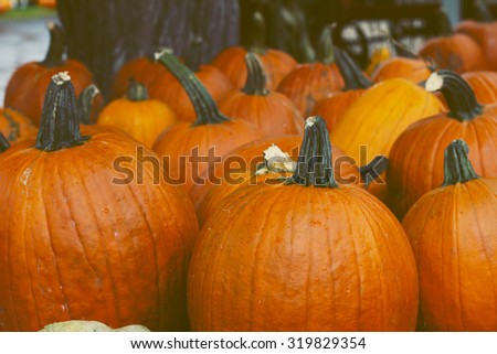 Pumpkins in the store