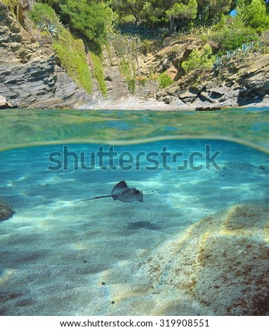 Above and below sea surface near the shore of a Mediterranean cove with a stingray swimming underwater, Costa Brava, Spain