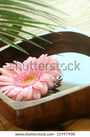 Pink gerber  floating in wooden bowl. spa background
