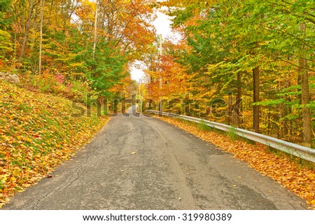 Autumn scene with road in forest
