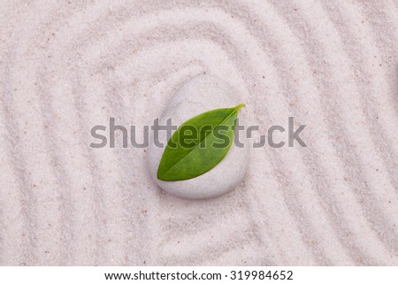 White stone and green  leaf  in the white sand 