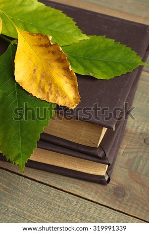 books with leaves on wooden background
