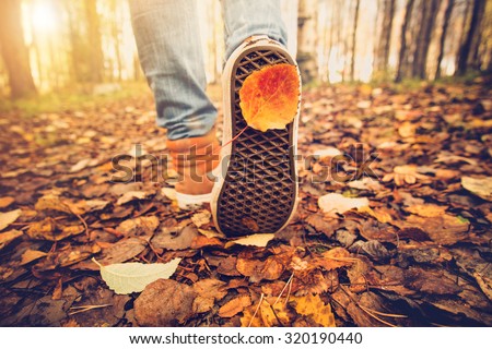 Feet sneakers walking on fall leaves Outdoor with Autumn season nature on background Lifestyle Fashion trendy style Royalty-Free Stock Photo #320190440