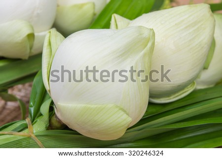 White Lotus Flower on tray wooden with background