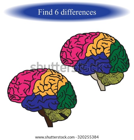 Find differences (  human brain ). Vector illustration.