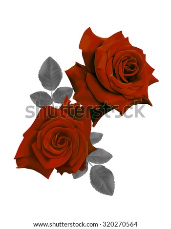 Two beautiful red roses isolated on white background. Photo- realistic mesh vector illustration.