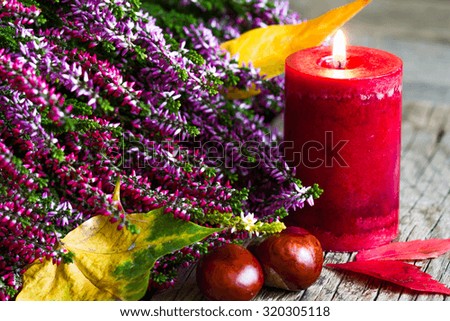 Autumn still life with candle on old boards