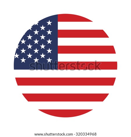 USA button flag
