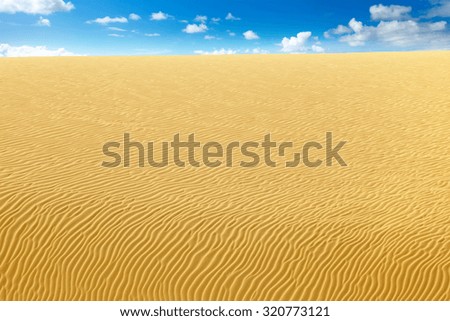 ripples in the desert sand