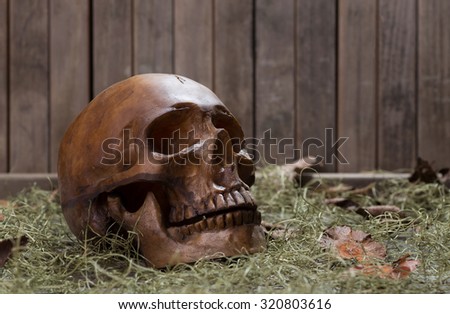 Closeup of a scary human skull on the ground with a rustic wood background