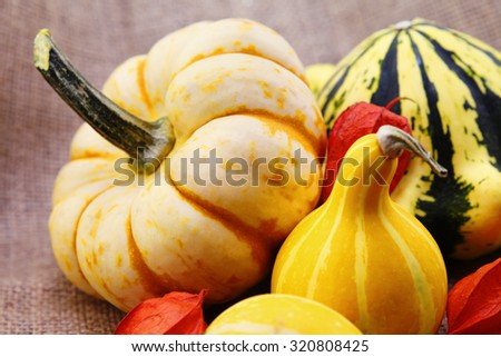 Autumn vegetables - different types of pumpkins on a canvas background.