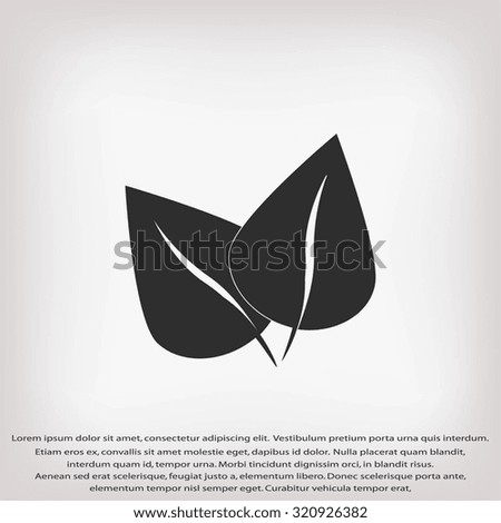 	leaf vector icon