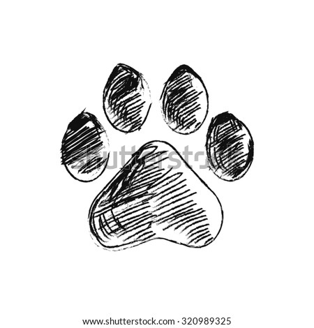 hand drawn doodle of animal footprint, Vector illustration.