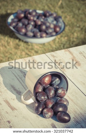 Vintage photo, Fresh plums spill out of metallic mug on wooden rustic table in garden on sunny day, healthy nutrition