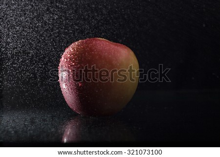 One ripe tasty beautiful seasoning berry fruit of red yellow wet apple with water spray lying in studio on black background, horizontal picture