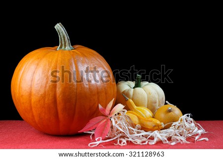 Pumpkins on black background