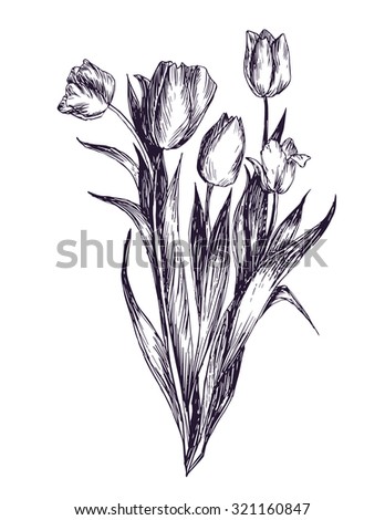 Graphic tulip Royalty-Free Stock Photo #321160847