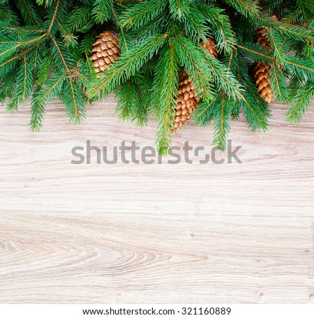 christmas fresh evergreen tree branches with  pine cones 