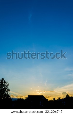 silhouette shot image of tree and sunset sky in background.(vertical)