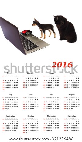 2016 Calendar. Dog puppy with  cat in front of a laptop isolated .