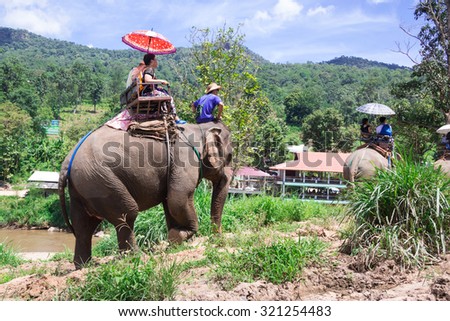 Group tourists to ride on an elephant in forest Chiang mai, Thailand Royalty-Free Stock Photo #321254483