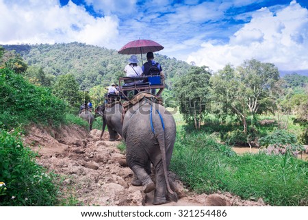 Group tourists to ride on an elephant in forest Chiang mai, Thailand Royalty-Free Stock Photo #321254486