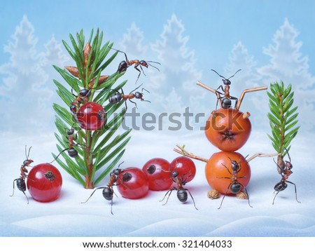 ants make Christmas tree and Santa Claus for New Year, ant tales                              