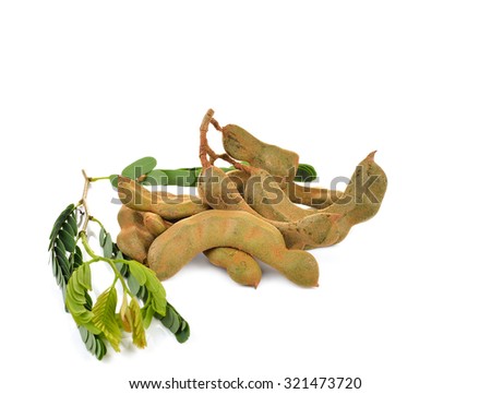 young Tamarind  on white background