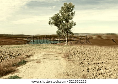 Spanish Landscape with Pond in the Autumn, Vintage Style Toned Picture