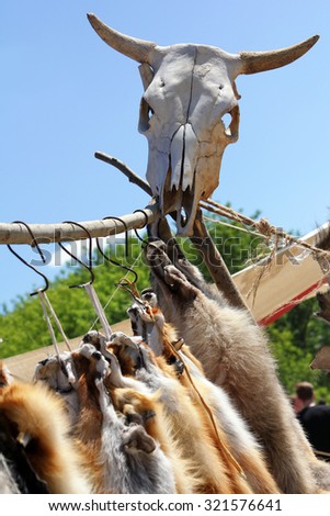 Cow skull and fox skins at fair of artisans