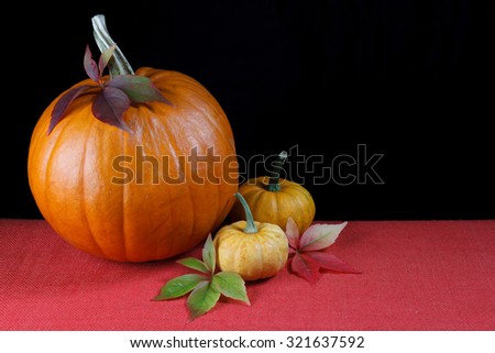 Three pumpkins with autumn leaves on black background