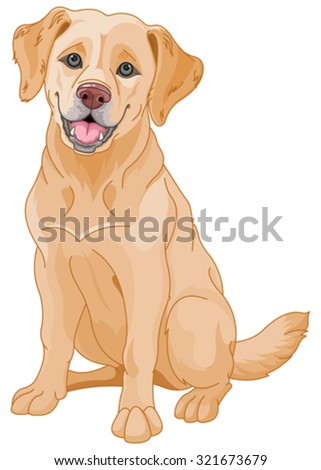 Illustration of cute Golden Retriever dog