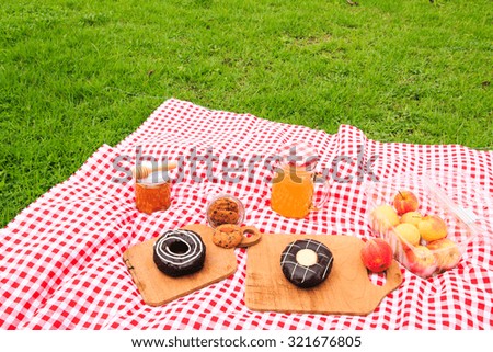 Healthy picnic for a summer vacation with freshly baked donuts, 